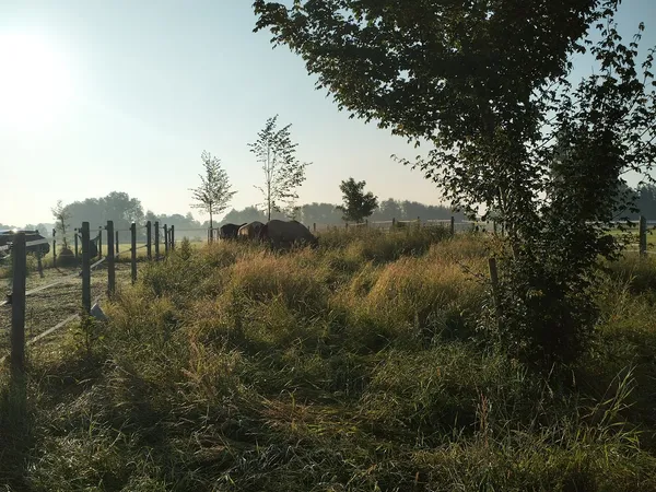 Anlage Foto 1