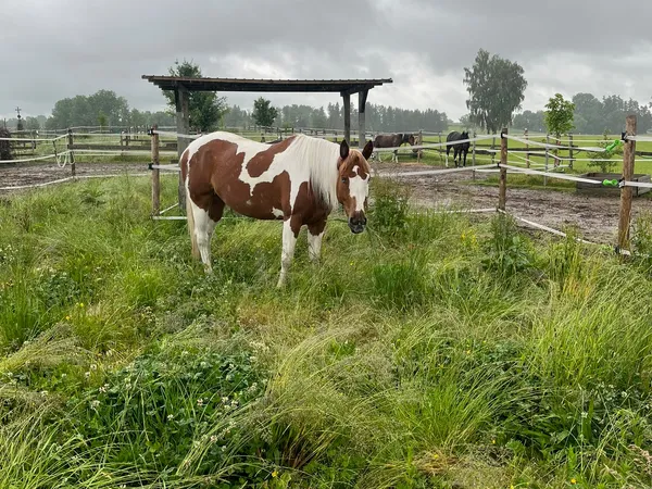 Anlage Foto 7